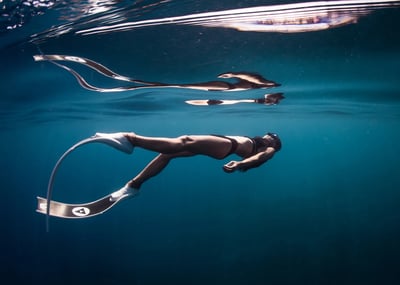 Alchemy V3-30PLUS  頂級碳纖維長蛙 專業自由潛水3