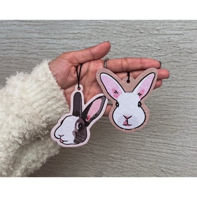 兔兔公益香芬片3