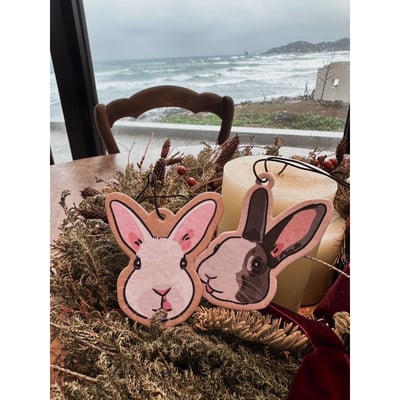 兔兔公益香芬片1