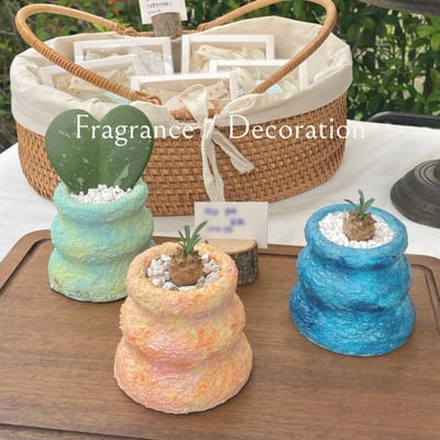 Hip Pot盆栽色彩設計1