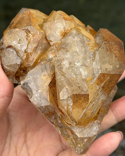 巴基斯坦黃泥骸骨《JCO006》4