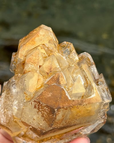 巴基斯坦黃泥骸骨《JCO006》3