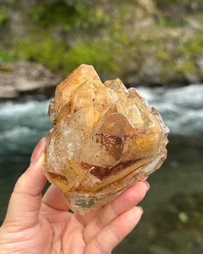 巴基斯坦黃泥骸骨《JCO006》2