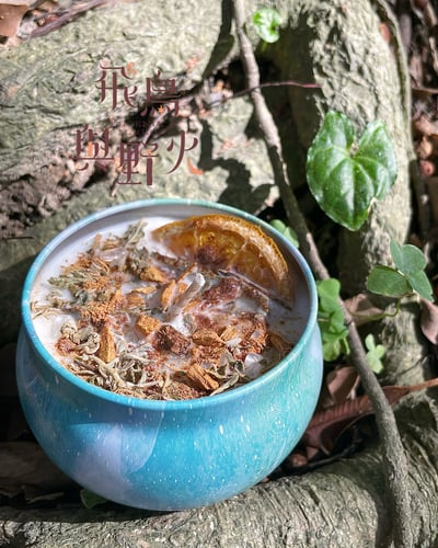 台灣植系列肖楠_鬱離1