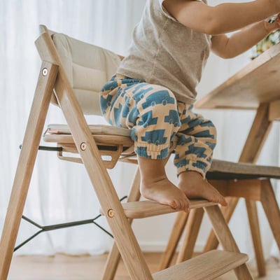 【KAOS】Klapp坐墊-兩色選