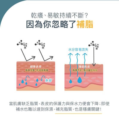 Derma MD02 高效鎖水修護膏200ml3