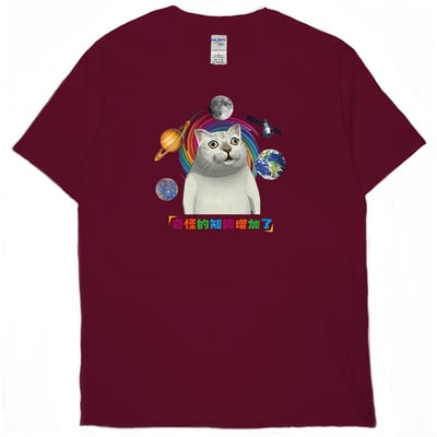 奇怪的知識增加了(短T)Hamburger T-shirt shop12