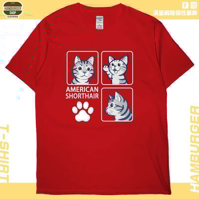 美國短毛貓(短T)Hamburger T-shirt shop9