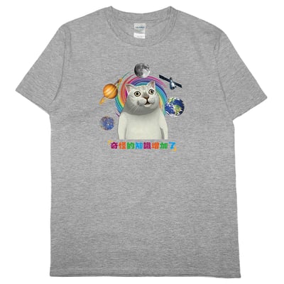 奇怪的知識增加了(短T)Hamburger T-shirt shop4