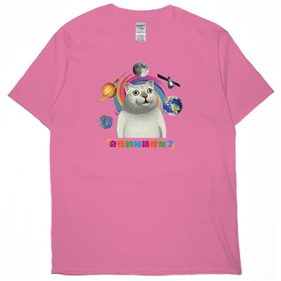 奇怪的知識增加了(短T)Hamburger T-shirt shop15