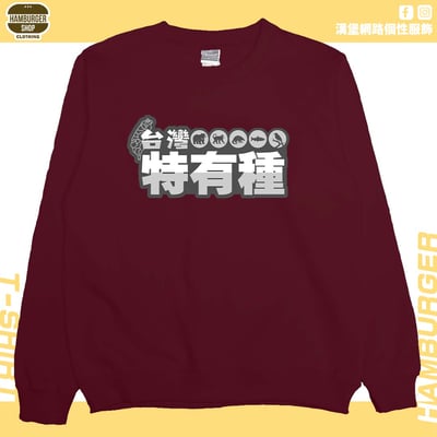 台灣特有種(大學T)Hamburger T-shirt shop10