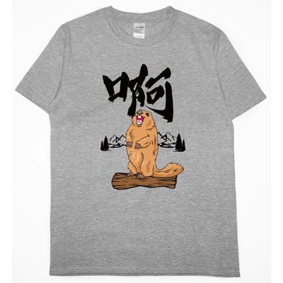 零碼出清 -啊(短T) 灰L1