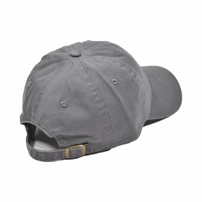 CLASSIC LOGO CAP(灰)2