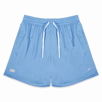 CLASSIC LOGO MESH SHORTS(北卡藍)6