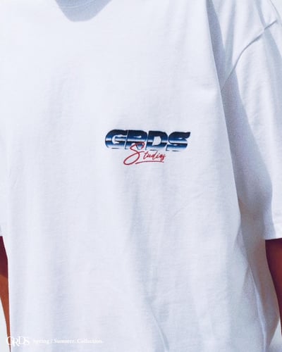 METAL LOGO T-Shirt(白)9