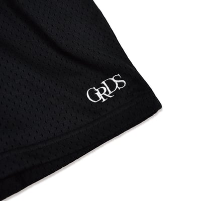 CLASSIC LOGO MESH SHORTS(黑)2