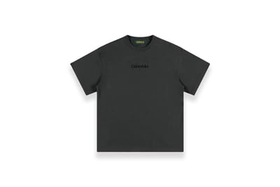 DISTORT LOGO T-Shirt(灰)1
