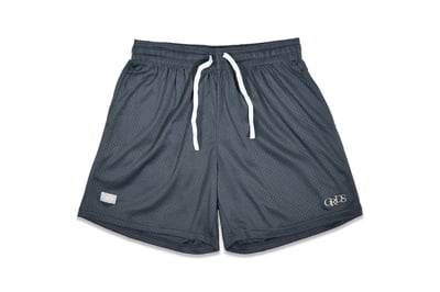CLASSIC LOGO MESH SHORTS(灰)1