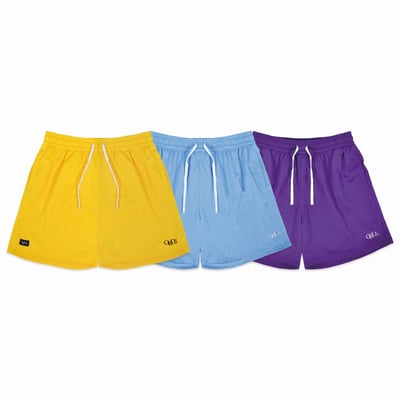 CLASSIC LOGO MESH SHORTS(北卡藍)7