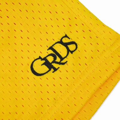 CLASSIC LOGO MESH SHORTS(黃)5