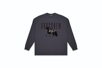 DARK HORSE L/S TEE(深灰)1