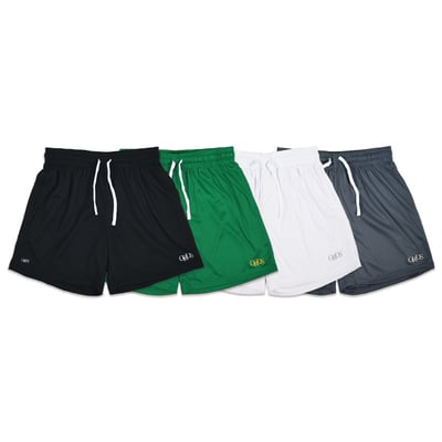 CLASSIC LOGO MESH SHORTS(灰)6