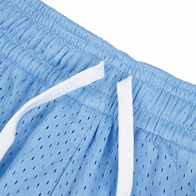 CLASSIC LOGO MESH SHORTS(北卡藍)4