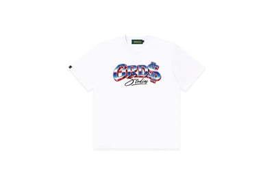 METALLIC DOLLAR T-Shirt(白)1