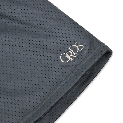 CLASSIC LOGO MESH SHORTS(灰)3