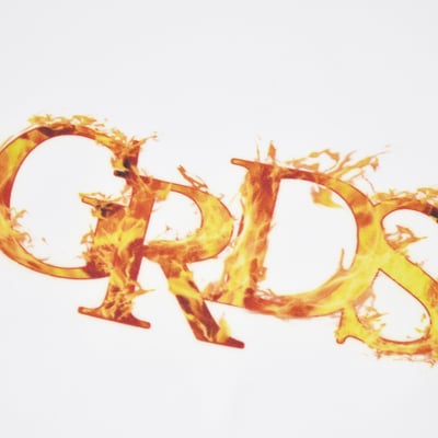 FIRE LOGO HOODIE(白)3