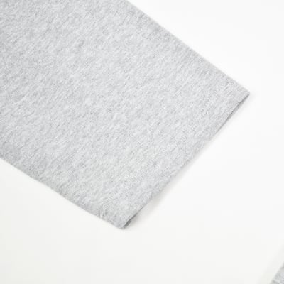 SLEEVE PRINT RAGLAN  L/S Tee(灰白)6