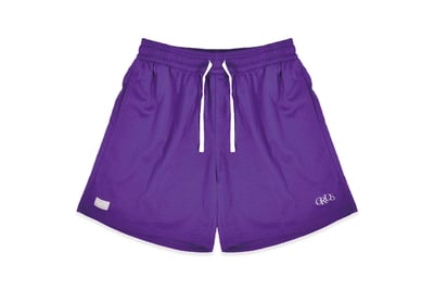 CLASSIC LOGO MESH SHORTS(紫)1