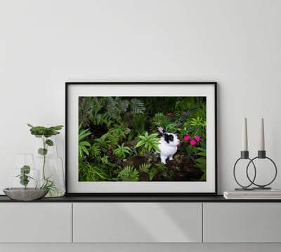 攝影藝術微噴原作 - 《絕美叢林》5