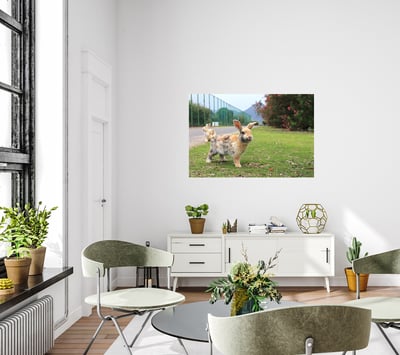 攝影藝術微噴原作 - 《天光》3