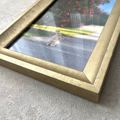 攝影藝術微噴原作 - 《目光之處》 7/50｜金色仿古框3