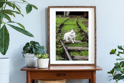 攝影藝術微噴原作 - 《決定》3