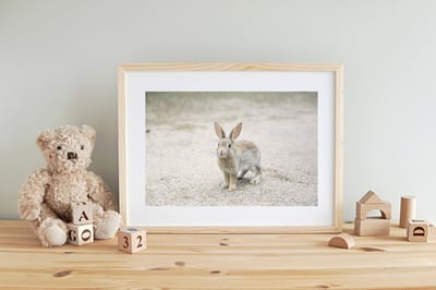 攝影藝術微噴原作 - 《萌》2