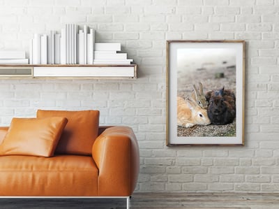 攝影藝術微噴原作 - 《全家福》3