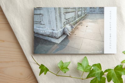 兔子攝影插畫明信片 - 信念的力量2