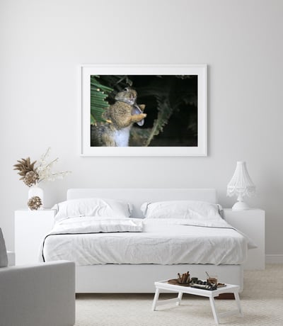 攝影藝術微噴原作 - 《嫵媚》2