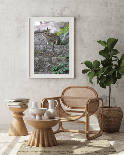 攝影藝術微噴原作 - 《樹梢的溫柔》7