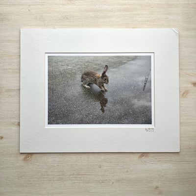 攝影藝術微噴福利品 - 031