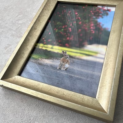 攝影藝術微噴原作 - 《目光之處》 7/50｜金色仿古框2