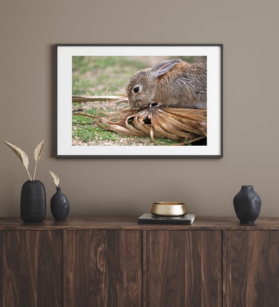 攝影藝術微噴原作 - 《得來不易的滋味》6