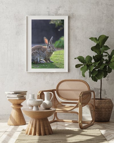 攝影藝術微噴原作 - 《沐浴晨光》7