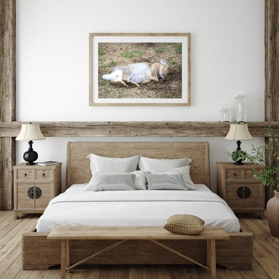 攝影藝術微噴原作 - 《甜夢》9