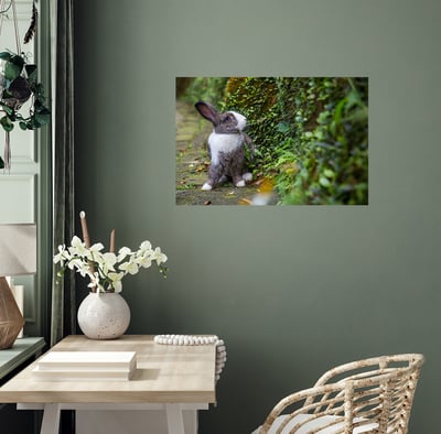 攝影藝術微噴原作 - 《藍色眼眸》4