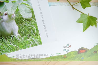 兔子攝影插畫明信片 - 《夏日秘藏紅寶石》4