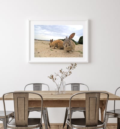 攝影藝術微噴原作 - 《化身為兔子後的對話》5