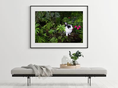 攝影藝術微噴原作 - 《絕美叢林》4